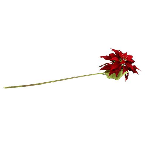 Floristik24 Stella di Natale rossa 70cm