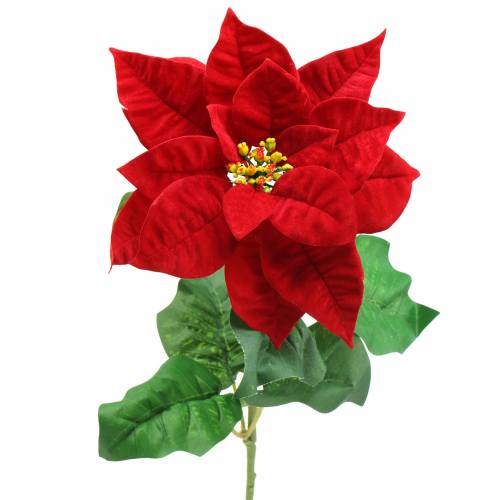 Floristik24 Poinsettia fiore artificiale rosso 67cm