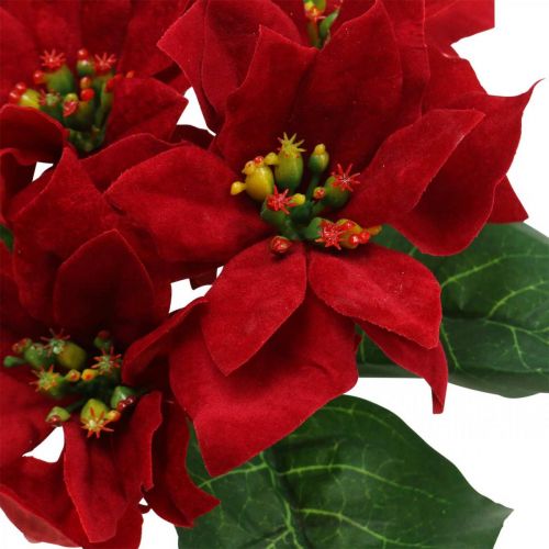 Prodotto Decorazione di fiori di seta rossa di stella di Natale artificiale 6 pezzi in un mazzo