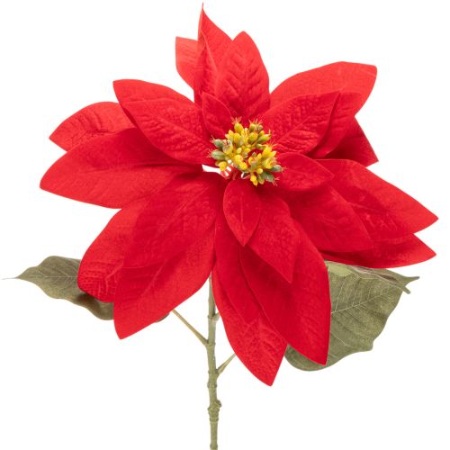 Decorazione con stella di Natale artificiale rossa a stelo singolo, 82 cm acquistare | Floristik24.it