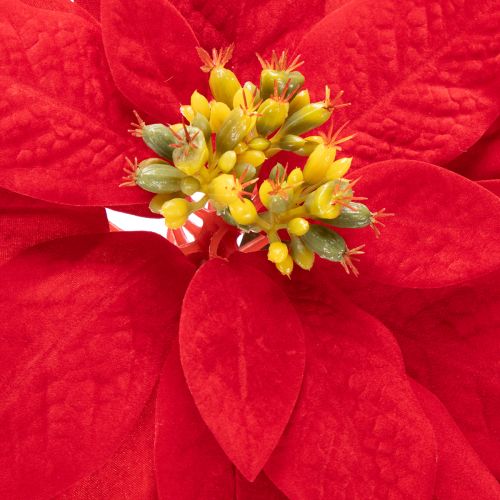 Decorazione con stella di Natale artificiale rossa a stelo singolo, 82 cm | Floristik24.it