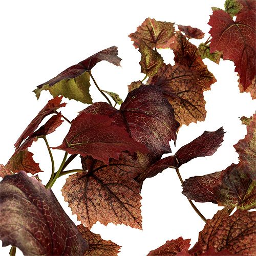Floristik24 Ghirlanda di vite rosso scuro 190 cm