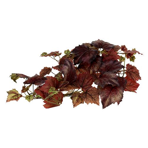 Floristik24 Ghirlanda di vite rosso scuro 190 cm
