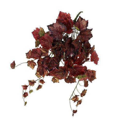 Floristik24 Appendino foglie di vite verde, bordeaux 67cm