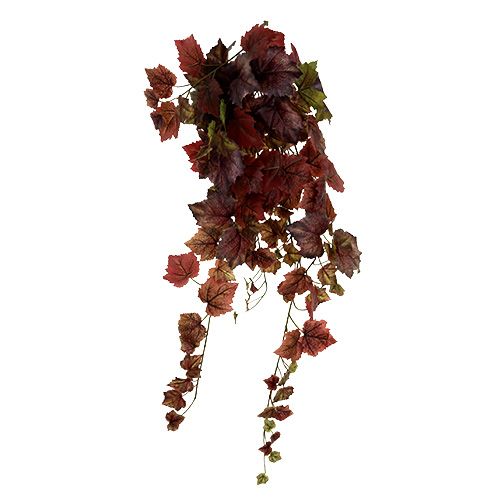Floristik24 Appendino per foglie di vite verde, rosso scuro 100cm