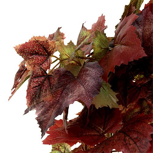 Prodotto Appendino per foglie di vite verde, rosso scuro 100cm