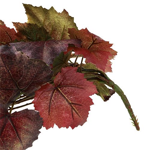 Floristik24 Appendino per foglie di vite verde, rosso scuro 100cm