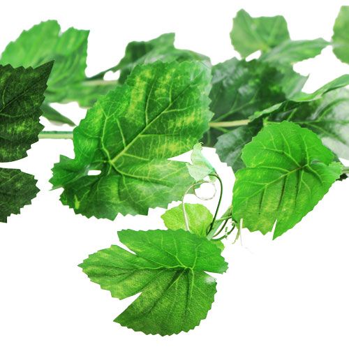 Floristik24 Ghirlanda di foglie di vite verde 2.7m
