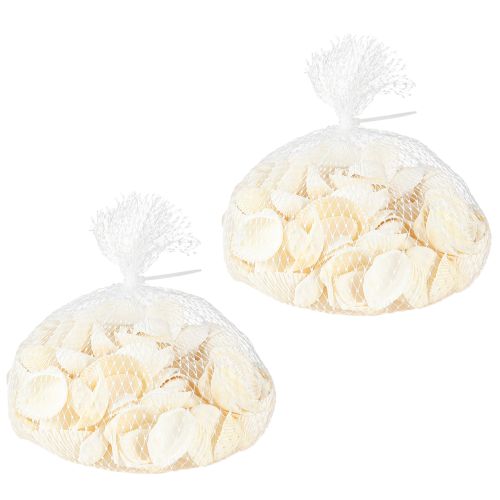 Floristik24 Conchiglie bianche decorative vongole 2-3,5 cm 300 g × 2 pz