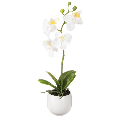 Fiori artificiali di orchidea bianca in vaso Phalaenopsis H33cm