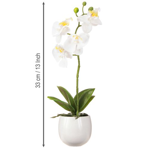 Prodotto Fiori artificiali di orchidea bianca in vaso Phalaenopsis H33cm