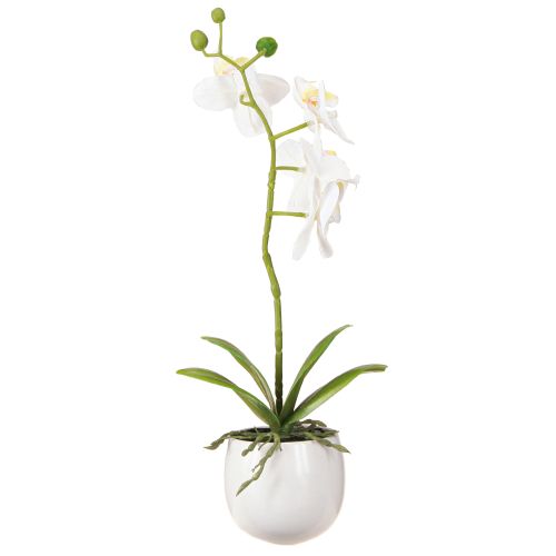 Prodotto Fiori artificiali di orchidea bianca in vaso Phalaenopsis H33cm