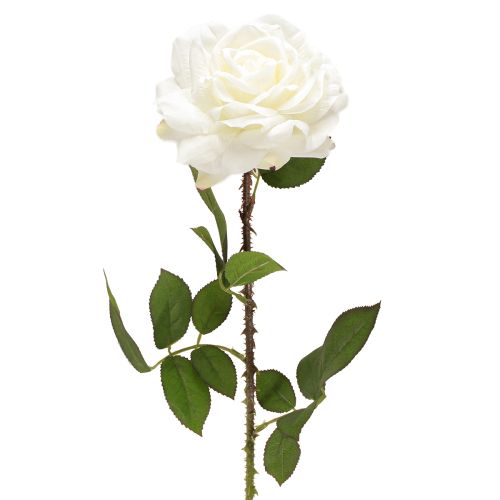 Prodotto Rosa bianca Rosa finta su stelo Fiore di seta Rosa finta L72cm Ø13cm