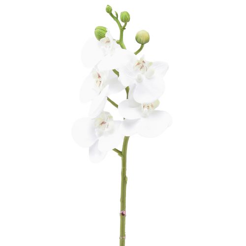 Prodotto Orchidea artificiale bianca Phalaenopsis Real Touch 32 cm