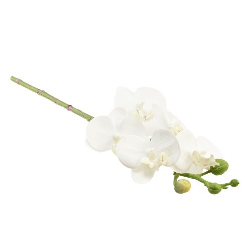 Prodotto Orchidea artificiale bianca Phalaenopsis Real Touch 32 cm