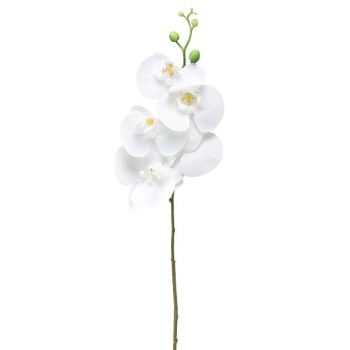 Orchidea artificiale bianca Phalaenopsis Real Touch 85 cm