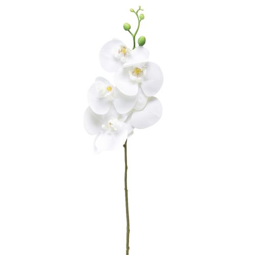 Prodotto Orchidea artificiale bianca Phalaenopsis Real Touch 85 cm