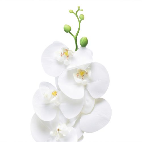 Prodotto Orchidea artificiale bianca Phalaenopsis Real Touch 85 cm