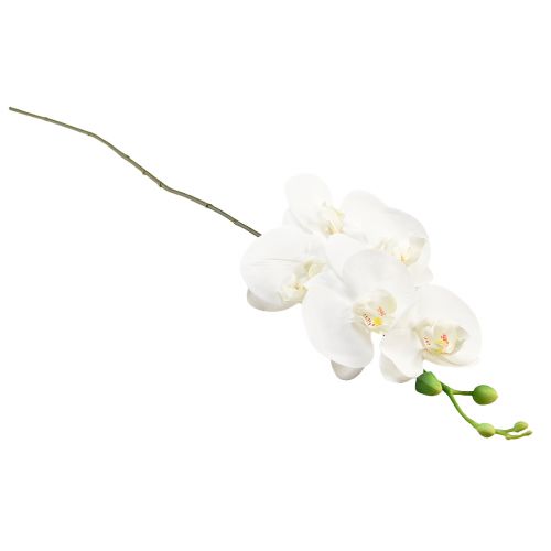 Prodotto Orchidea bianca artificiale Phalaenopsis Real Touch H83cm