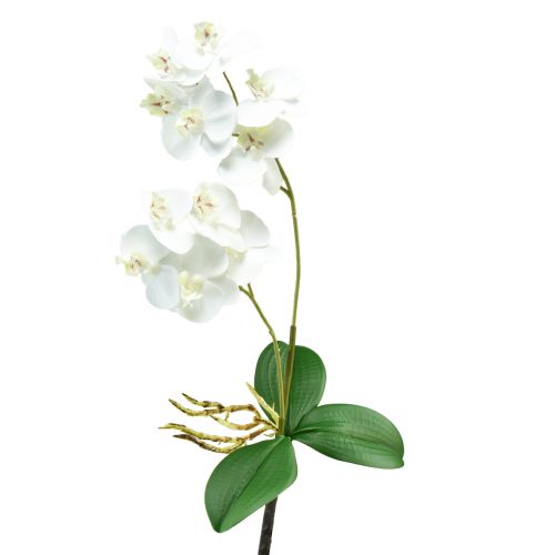 Orchidea bianca su plettro Phalaenopsis artificiale Real Touch 39 cm