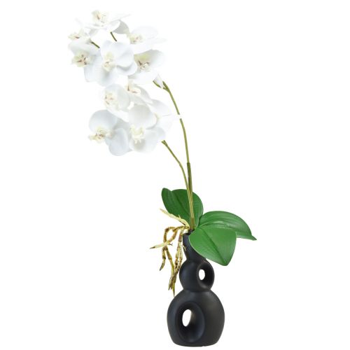 Prodotto Orchidea bianca su plettro Phalaenopsis artificiale Real Touch 39 cm