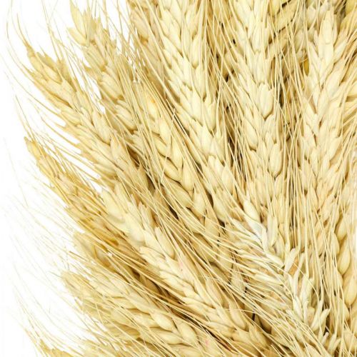 Prodotto Corona naturale, corona di grano, corona di grano, corona di grano 30cm