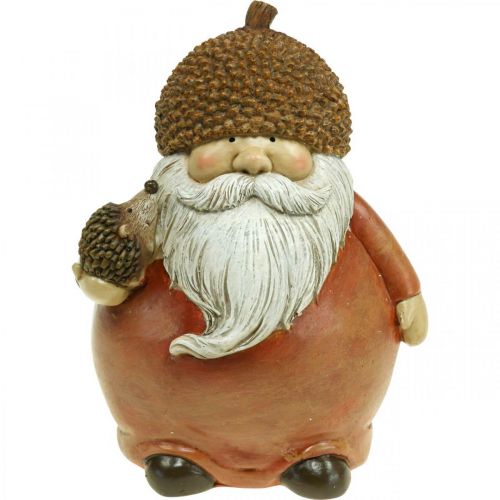 Floristik24 Imp figura con ghianda e riccio figura decorativa autunno marrone H19cm