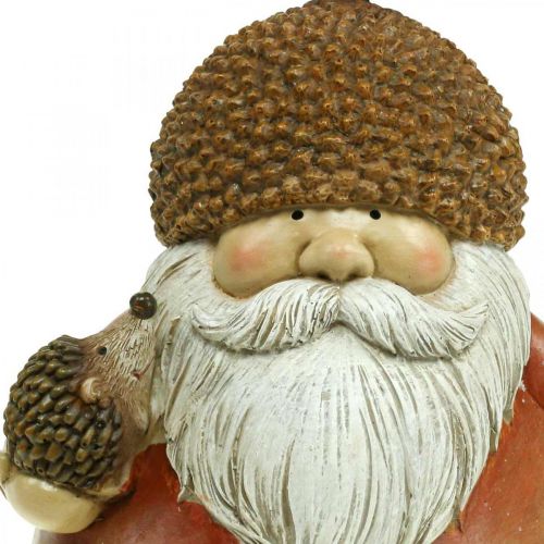 Floristik24 Imp figura con ghianda e riccio figura decorativa autunno marrone H19cm