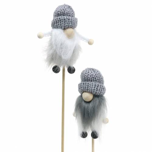 Floristik24 Gnomo a spina di fiori con cappello di lana grigio 8,5 cm L29 cm 6 pezzi