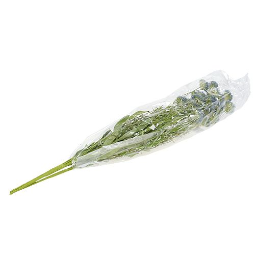 Floristik24 Fiori di prato blu L65cm 3pz