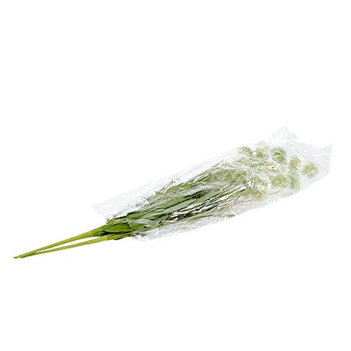 Floristik24 Fiori di prato bianchi L60cm 3pz