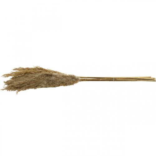 Prodotto Erba secca carice decorazione naturale secca 75 cm 10 pz
