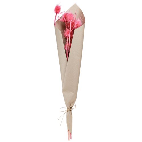 Prodotto Cardo selvatico decorazione a secco cardi di carta 53 cm 10 teste 3 pz