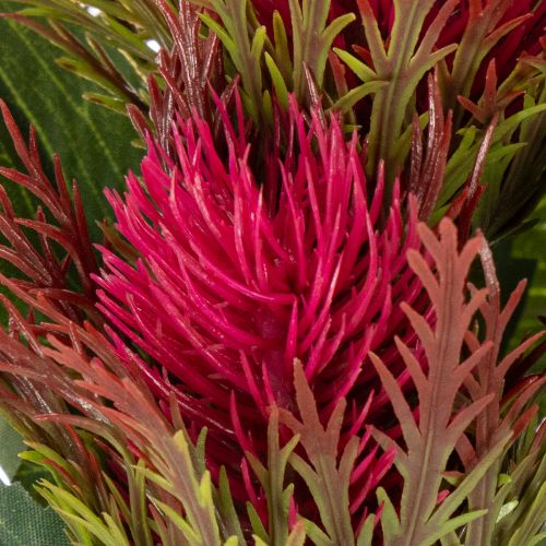 Ramo artificiale di cardo rosso per decorazione, 67 cm, 3 pezzi | Floristik24.it