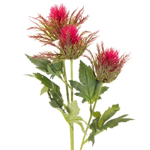 Ramo artificiale di cardo rosso per decorazione, 67 cm, 3 pezzi | Floristik24.it