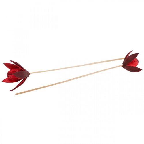 Floristik24 Giglio selvatico su stelo rosso Ø6,5 cm 35 cm 45 pz