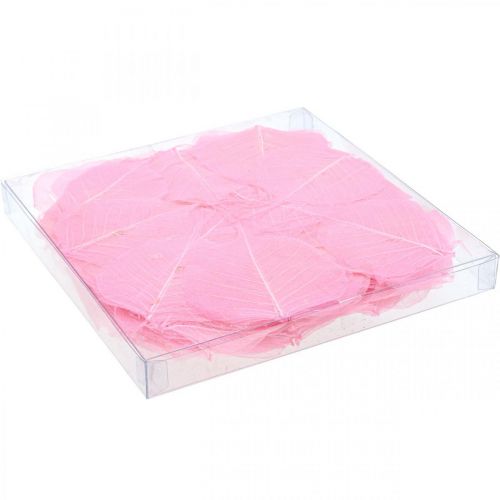 Prodotto Foglie scheletriche Foglie di salice scheletrate rosa 5-9 cm 200 pz