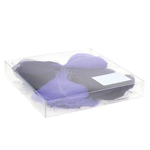 Floristik24 Foglie di salice di colore viola scheletrato. 200 pezzi