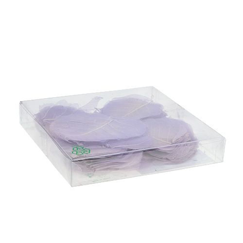 Floristik24 Foglie di salice scheletrate viola chiaro 200 pz.