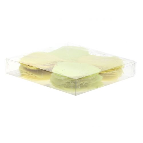 Floristik24 Mix di foglie di salice scheletrate gialle 200 pz