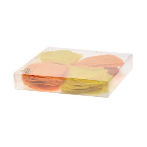 Floristik24 Foglie di salice scheletrate gialle, arancioni 200 pz