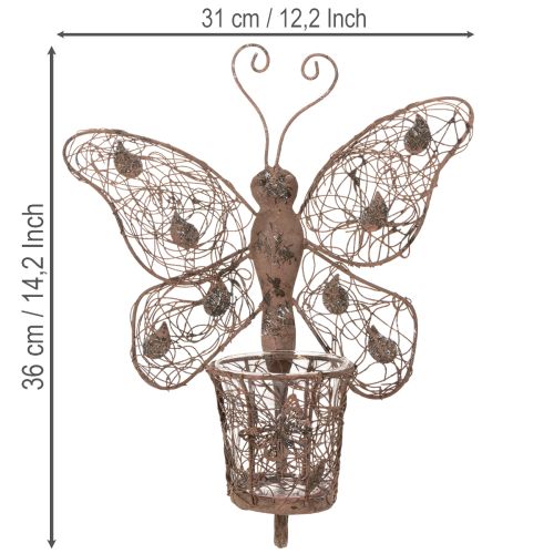 Lanterna in metallo, decorazione da parete, farfalla, finitura ruggine, 36,5 cm | Floristik24.it