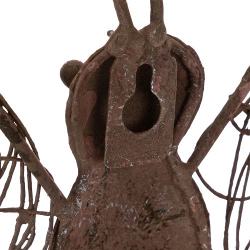 Lanterna in metallo, decorazione da parete, farfalla, finitura ruggine, 36,5 cm | Floristik24.it