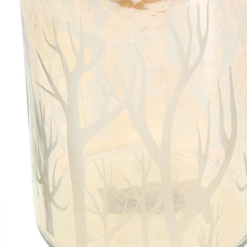 Prodotto Lanterna Vetro Decoro Alberi Marrone Tealight Vetro Ø9.5cm H13.5cm