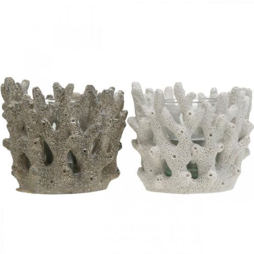 Floristik24 Lanterna con vetro in corallo decoro marittimo bianco artificiale Ø9.5cm 2pz