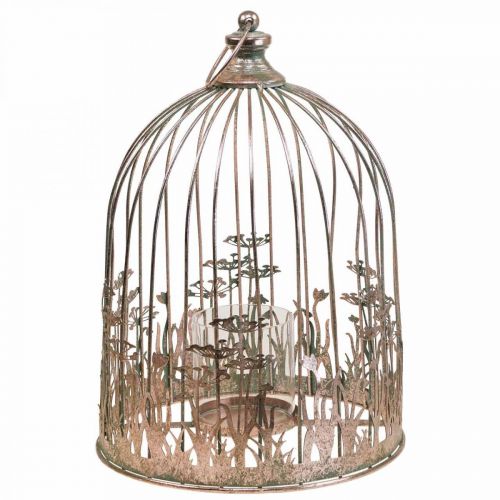 Floristik24 Lanterna decorazione da appendere in metallo Ø29/23,5cm decorazione gabbia per uccelli set di 2
