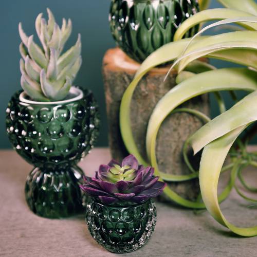 Floristik24 Lanterna in vetro verde scuro Ø11,5cm H9cm 1p