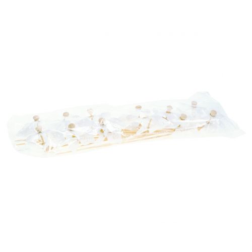 Floristik24 Mulino a vento Mini bianco Ø9cm 12 pezzi