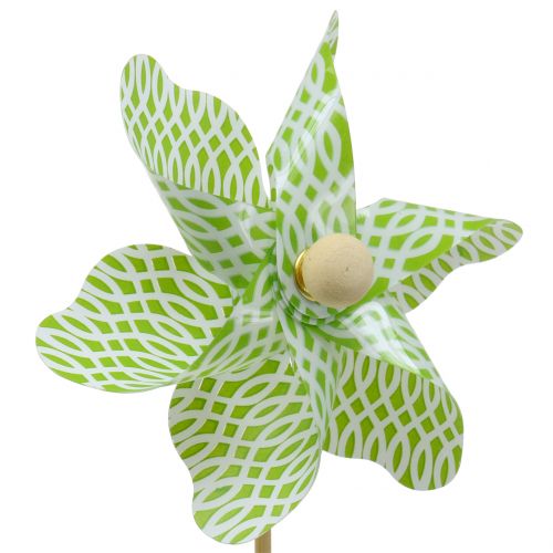 Floristik24 Mulino a Vento Mini Verde-Bianco Ø9cm 12p