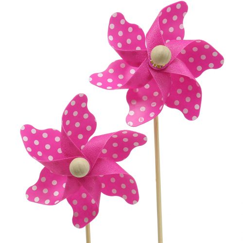 Floristik24 Mulino a vento decorativo con punti rosa Ø8cm 12p